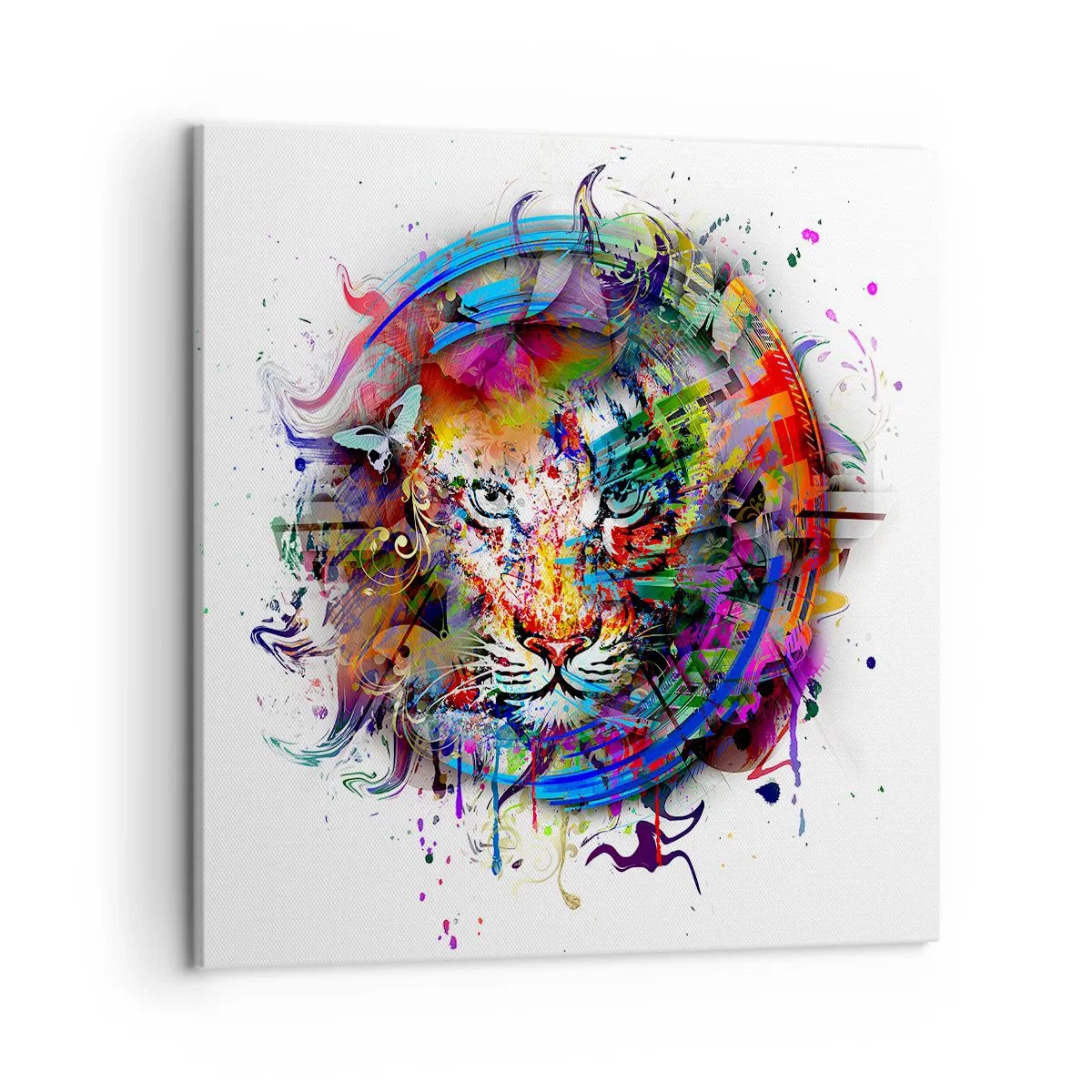 Cuadro sobre lienzo - Impresión de Imagen - Al acecho tras la cortina arco iris - 50x50 cm