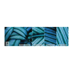 Muestra de fotomural autoadhesivo Deluxe Sticker - Líneas de vida - Hojas, Botánica, Plantas - 100x30 cm