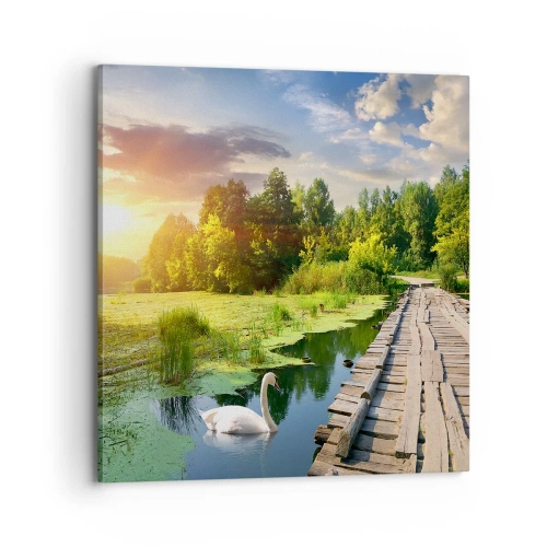 Cuadro sobre lienzo - Impresión de Imagen - Verano, verano en todas partes - 70x70 cm
