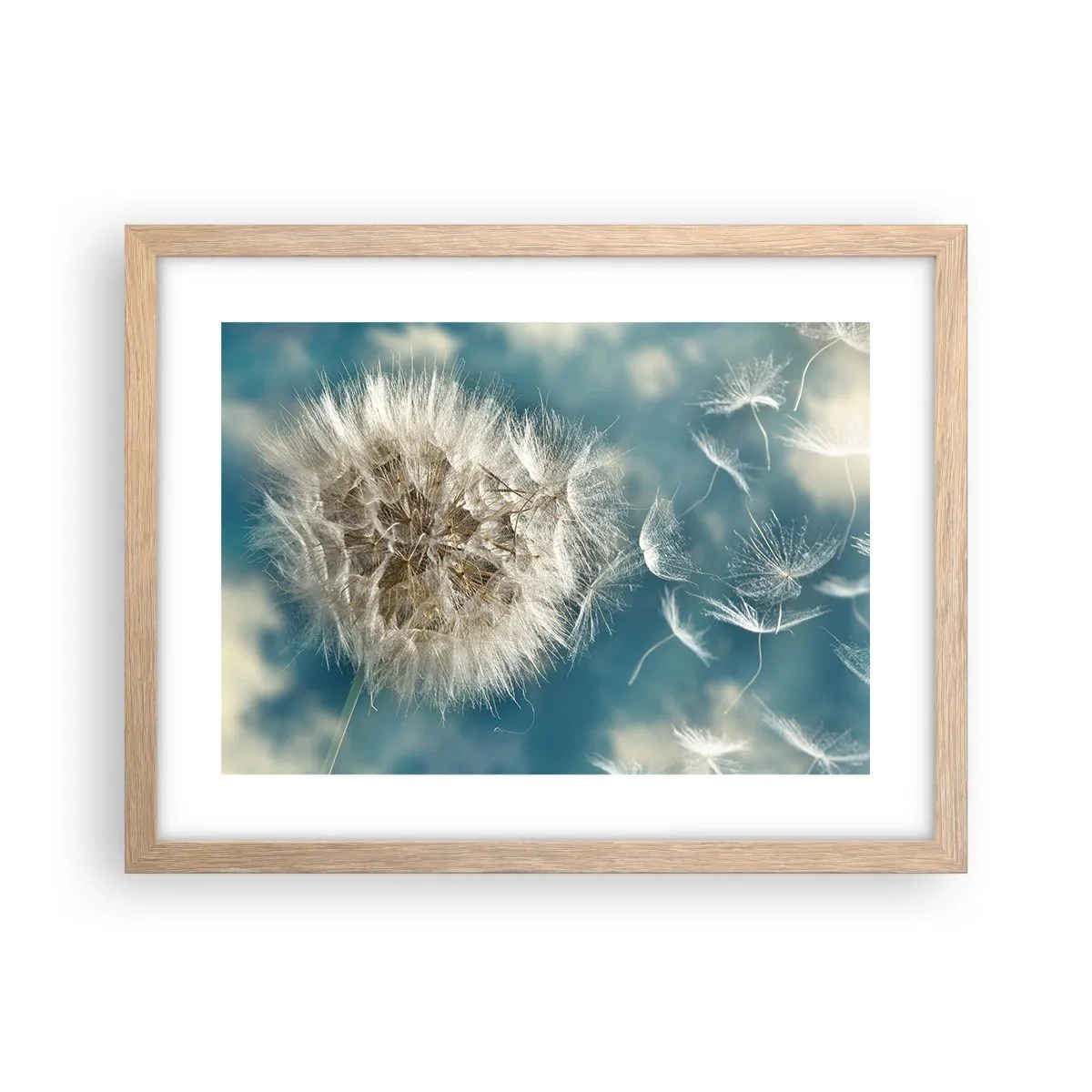 Póster en marco roble claro - El aliento de un ángel - 40x30 cm