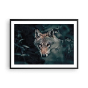 Póster en marco negro - Un lobo en su entorno natural, mirando desde las profundidades del bosque. - 70x50cm - Cazador - Decoración de pared moderna para salón y dormitorio ARTTOR