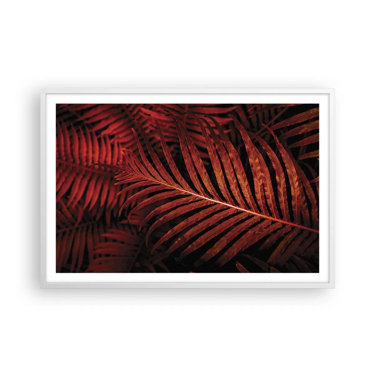 Póster en marco blanco - Las brasas de la vida - 91x61 cm