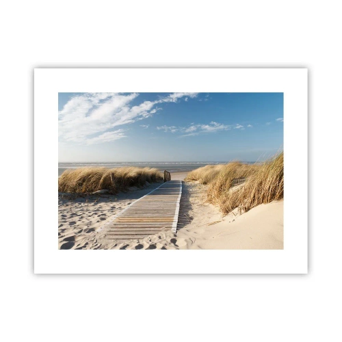 Póster - Más allá de la duna, en el susurro de la naturaleza - 40x30 cm