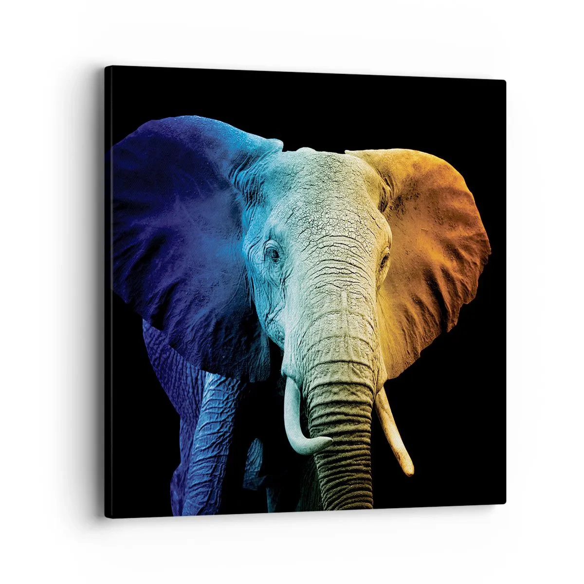 Cuadro sobre lienzo - Impresión de Imagen - Excéntrico, no un bicho raro - 40x40 cm