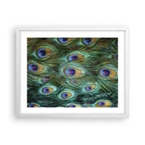 Póster en marco blanco - Mirada de pavo real - 50x40 cm