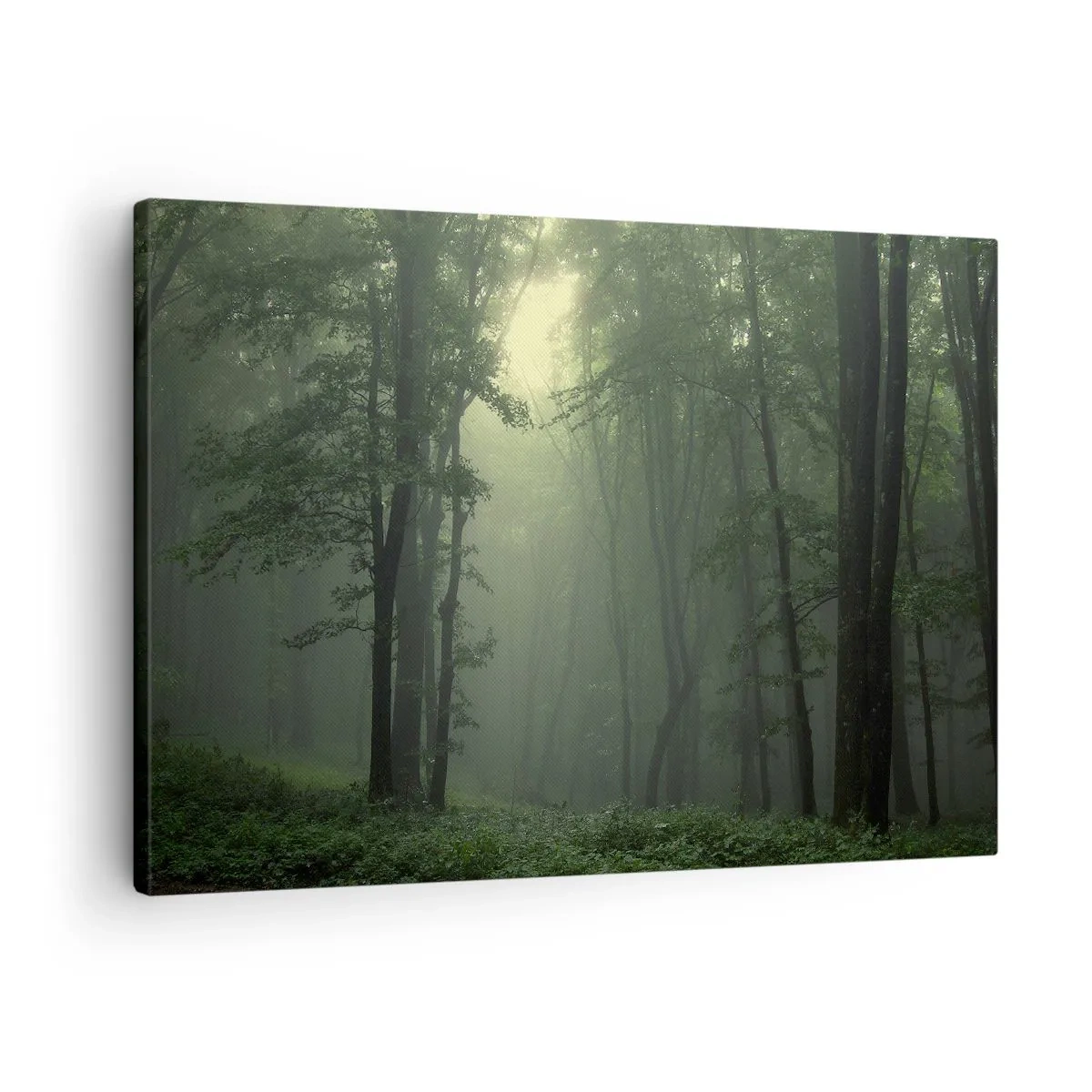 Cuadro sobre lienzo - Impresión de Imagen - Un bosque verde por la mañana envuelto en una delicada niebla. - 70x50cm - Antes de que se despierte el bosque - Decoración de pared moderna para salón y dormitorio ARTTOR