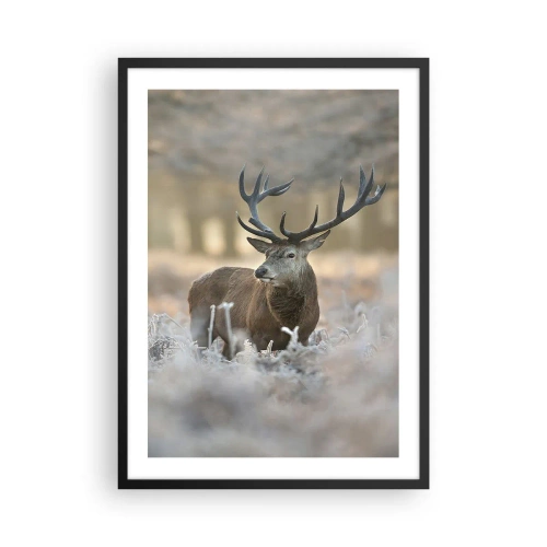 Póster en marco negro - Un ciervo majestuoso en un entorno forestal invernal. - 50x70cm - Una mañana fresca - Decoración de pared moderna para salón y dormitorio ARTTOR