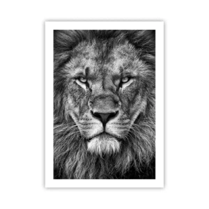 Póster - Retrato en blanco y negro de un majestuoso león. - 50x70cm - Con el atuendo de la coronación - Decoración de pared moderna para salón y dormitorio ARTTOR
