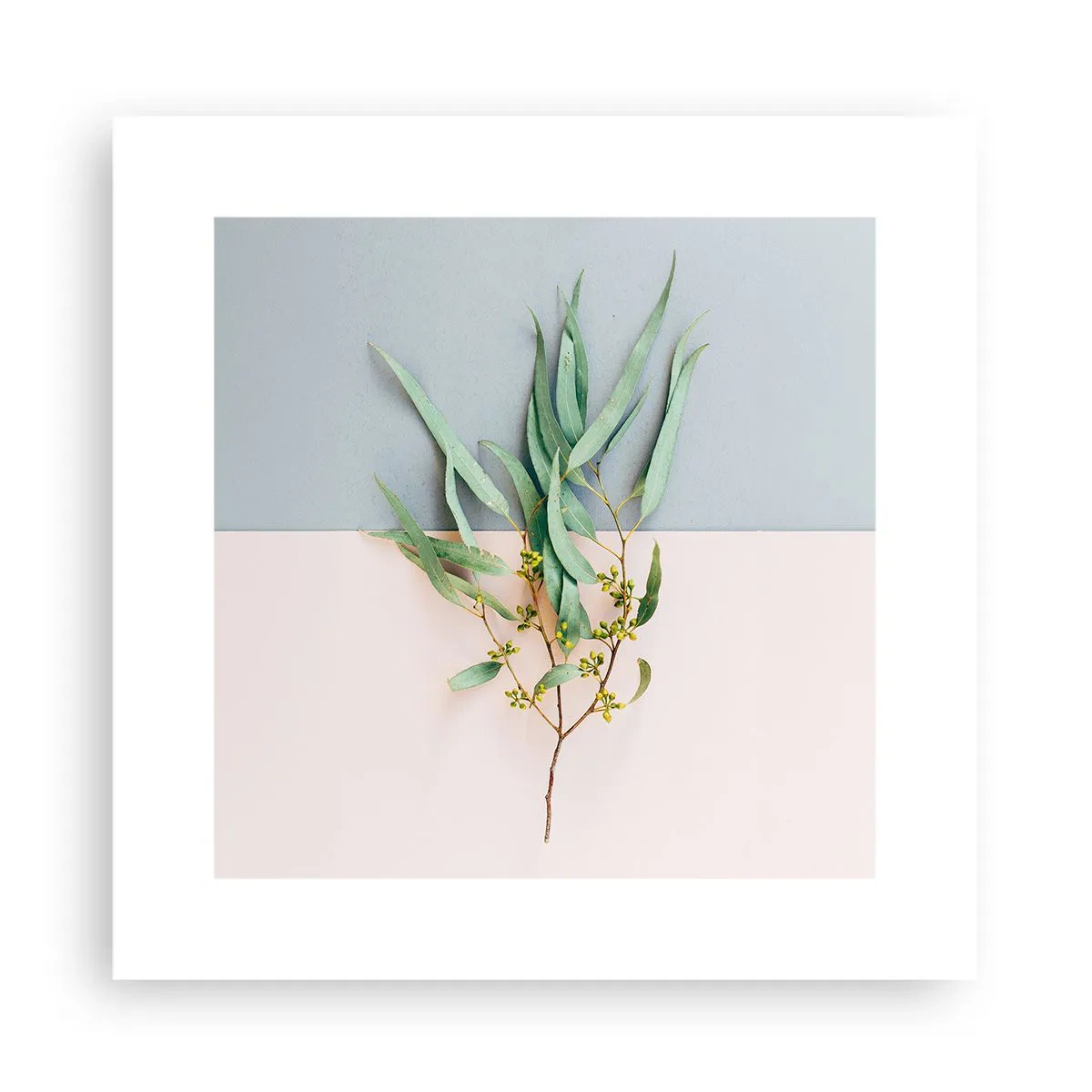 Póster - La sutileza del pastel - 30x30 cm