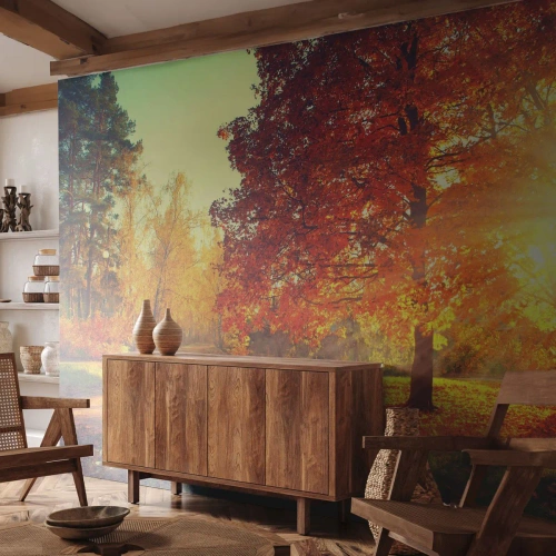 Fotomural Standard Eco - Parque otoñal bajo los rayos del sol poniente - 100x70cm - El rojo es hermoso - Decoración de pared moderna para salón y dormitorio ARTTOR