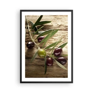 Póster en marco negro - Rama de olivo con aceitunas verdes y negras - 50x70cm - Directamente de la naturaleza - Decoración de pared moderna para salón y dormitorio ARTTOR