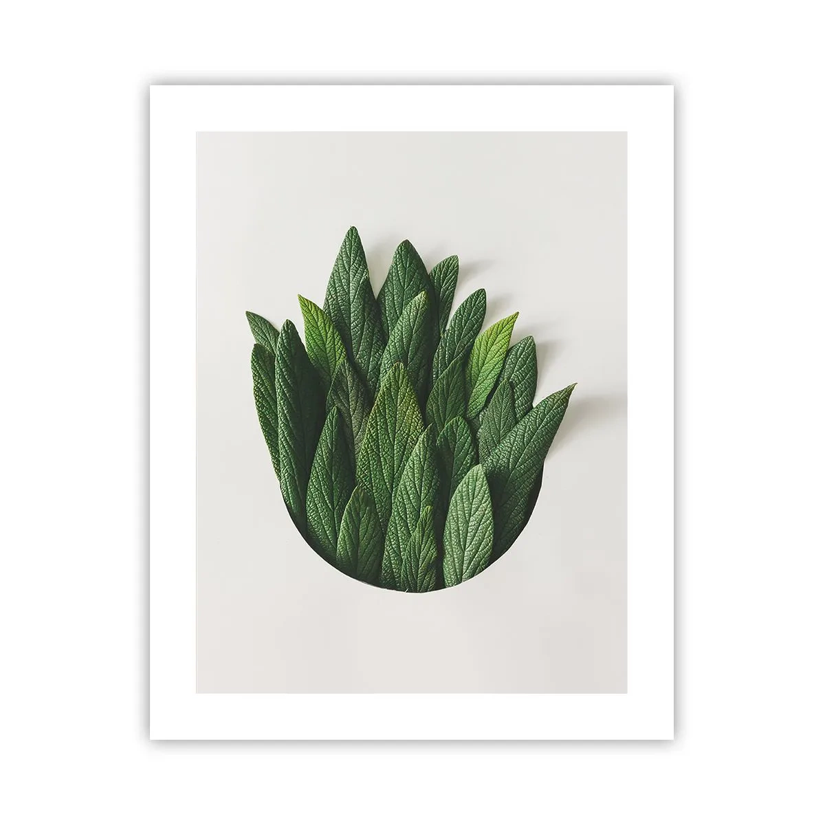 Póster - Curiosidad desenfrenada - 40x50 cm