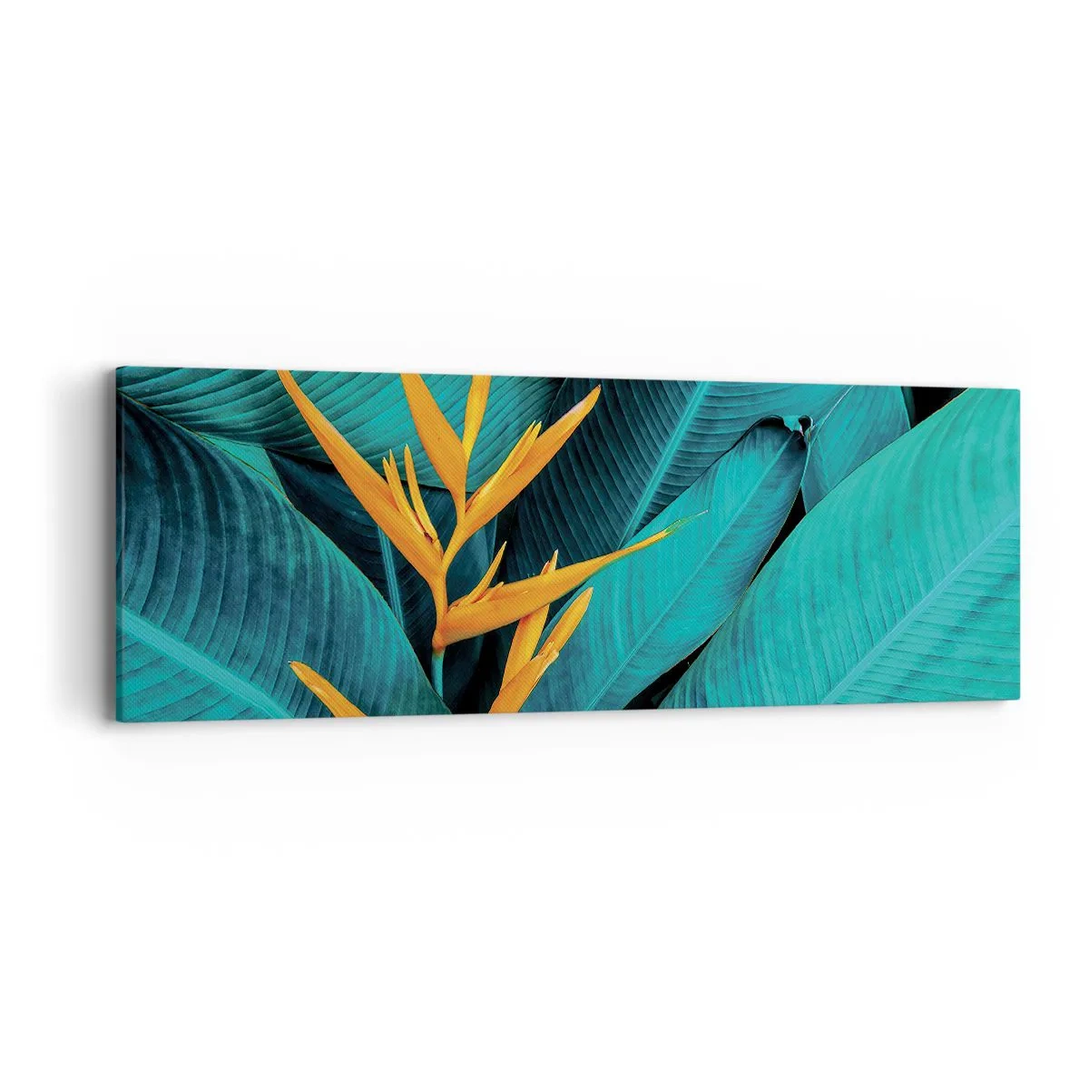 Cuadro sobre lienzo - Impresión de Imagen - Flor del Edén - 90x30 cm