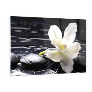 Cuadro sobre vidrio - Impresiones sobre Vidrio - Orquídea blanca sobre piedras negras mojadas - 120x80cm - Un estudio en blanco y negro - Decoración de pared moderna para salón y dormitorio ARTTOR