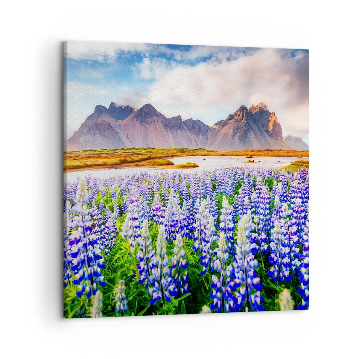 Cuadro sobre lienzo - Impresión de Imagen - La fuerza y la severidad junto a la dulzura - 50x50 cm