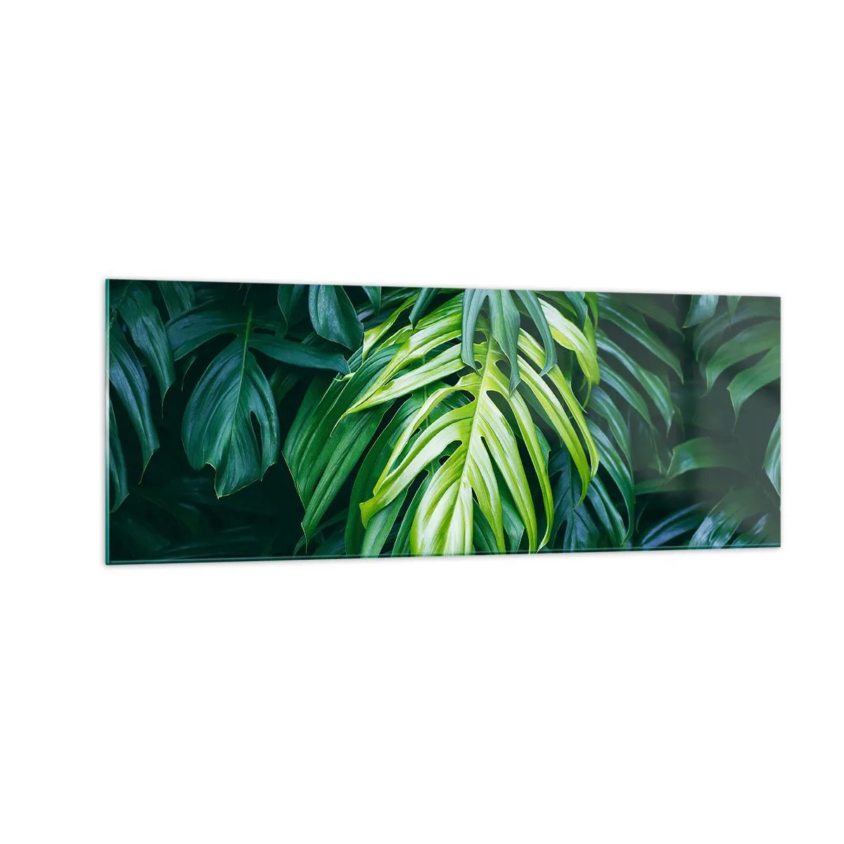 Cuadro sobre vidrio - Impresiones sobre Vidrio - Hojas verdes en un denso arreglo tropical. - 140x50cm - Sumérjase en la frescura - Decoración de pared moderna para salón y dormitorio ARTTOR