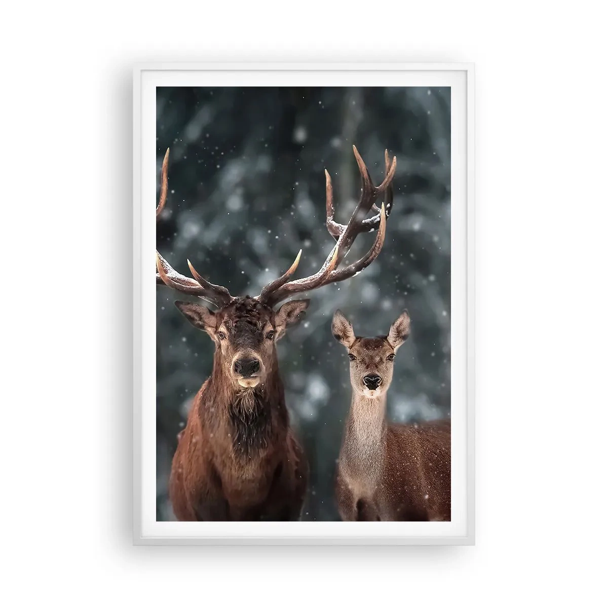 Póster en marco blanco - El señor y la señora del bosque - 70x100 cm