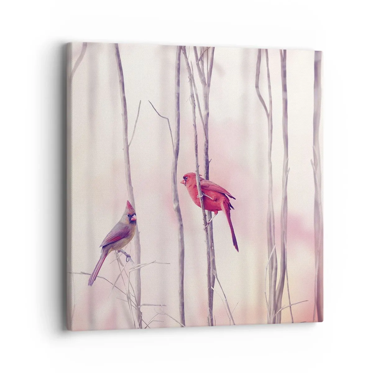 Cuadro sobre lienzo - Impresión de Imagen - Historia de un bosque rosa - 40x40 cm