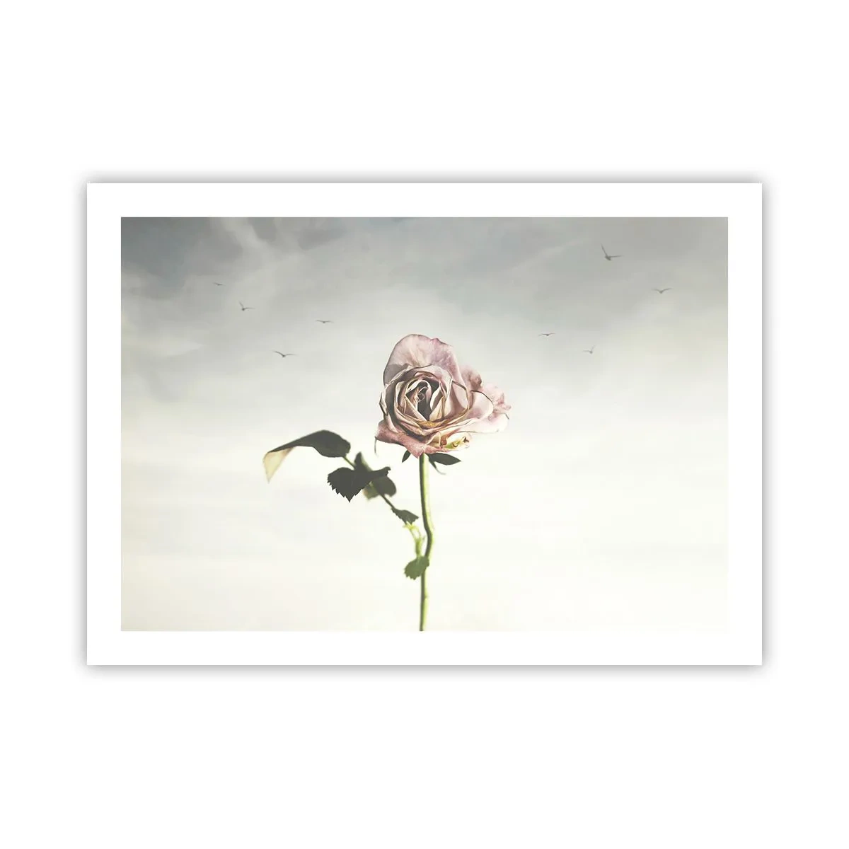 Póster - Bienvenida a la primavera - 70x50 cm