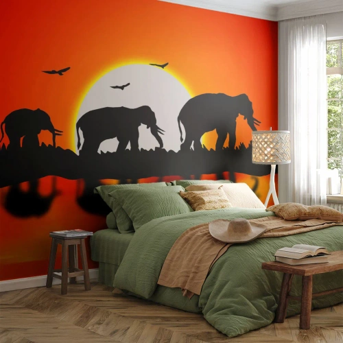 Fotomural Autadhesivo Deluxe Sticker - La noche es para tomar una copita - animales, África, Elefante - 100x70 cm