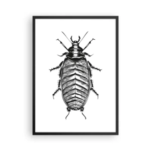 Póster en marco negro - Ilustración en blanco y negro de un insecto en un estilo minorista. - 50x70cm - ¡Qué espécimen! - Decoración de pared moderna para salón y dormitorio ARTTOR