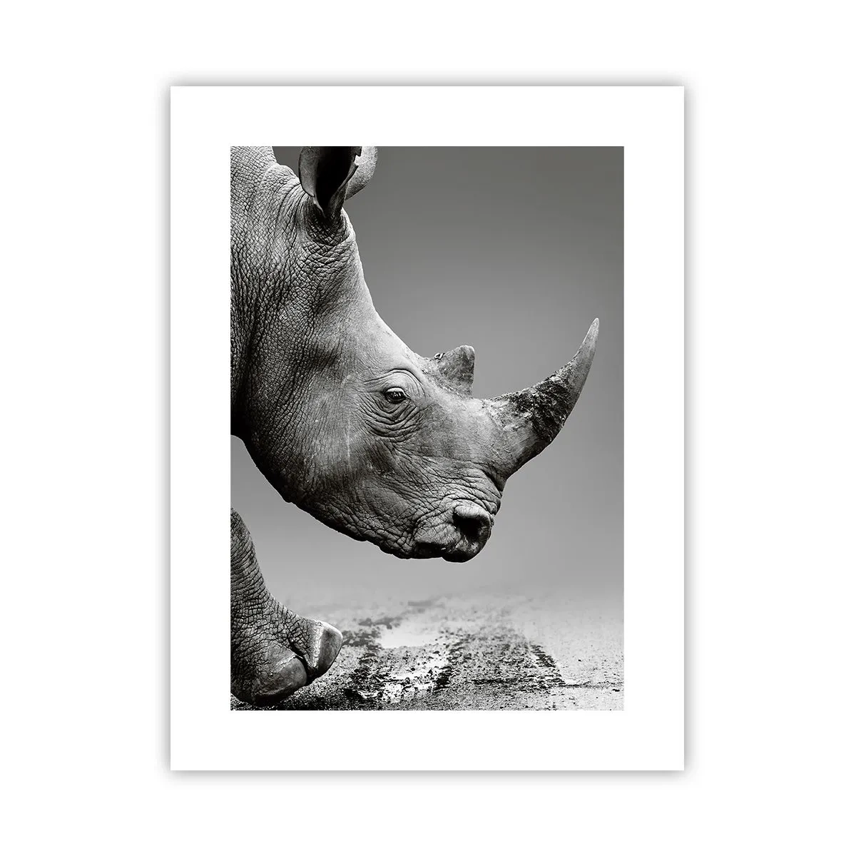 Póster - Fuerza imparable - 30x40 cm