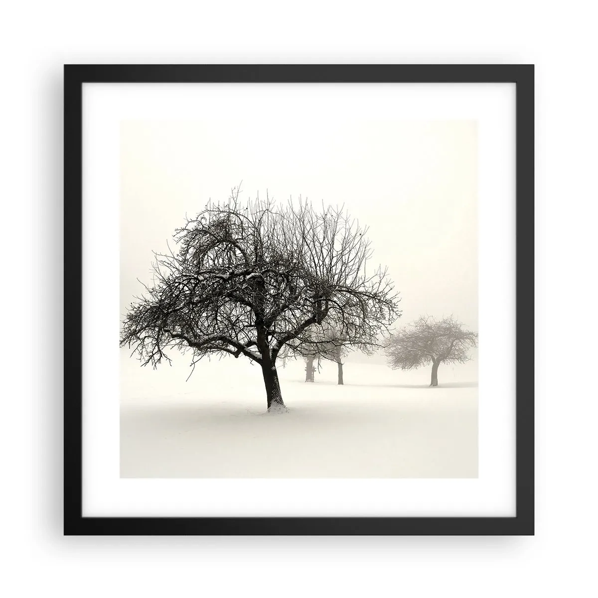 Póster en marco negro - Sueño de invierno - 40x40 cm