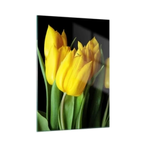 Cuadro sobre vidrio - Impresiones sobre Vidrio - Tulipanes amarillos sobre un fondo negro en una toma elegante. - 50x70cm - Resucitado de puro sol - Decoración de pared moderna para salón y dormitorio ARTTOR