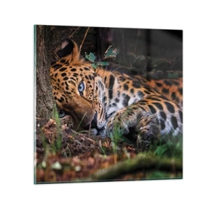 Cuadro sobre vidrio - Impresiones sobre Vidrio - Confía en mí - 70x70 cm