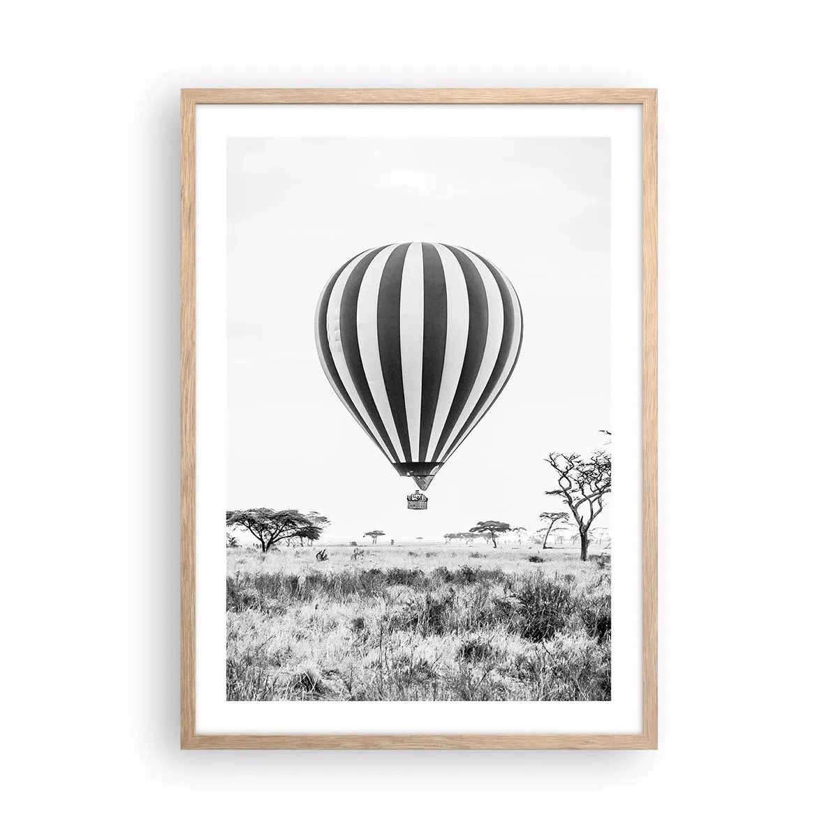 Póster en marco roble claro - Sobre la sabana - 50x70 cm