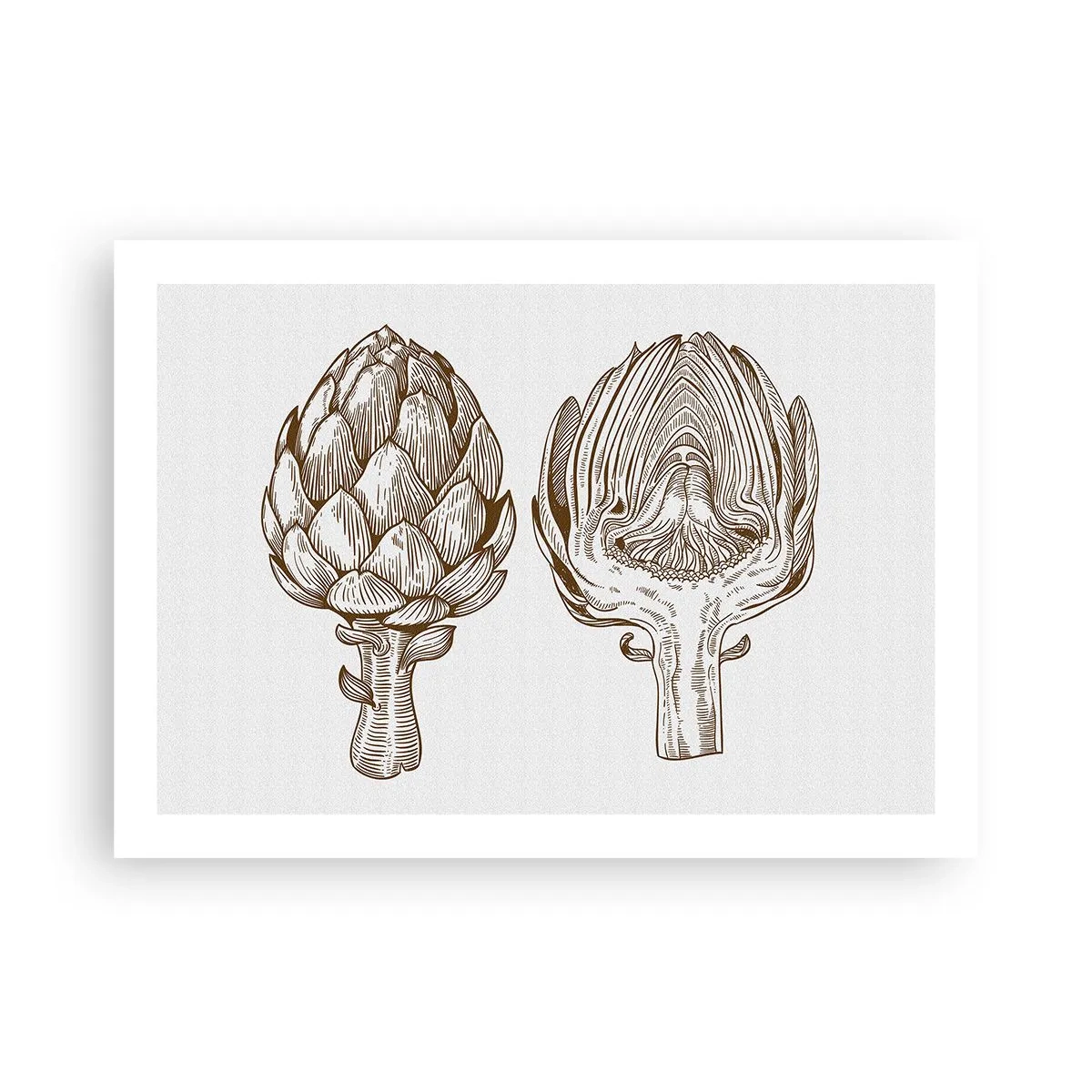 Póster - Lección de anatomía - 70x50 cm