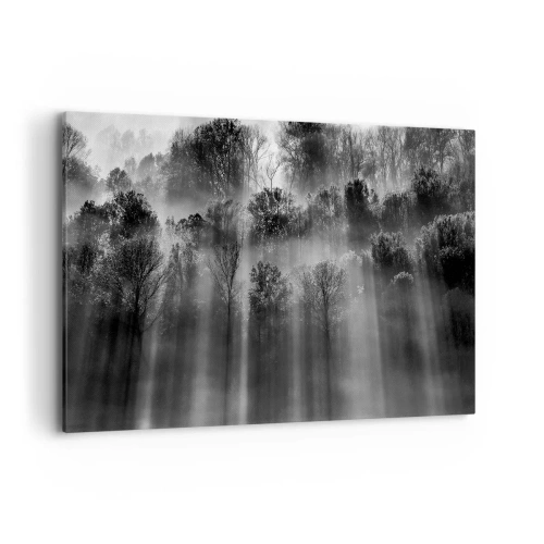 Cuadro sobre lienzo - Impresión de Imagen - Bosque blanco y negro a la luz de la mañana. - 100x70cm - En los flujos de luz - Decoración de pared moderna para salón y dormitorio ARTTOR