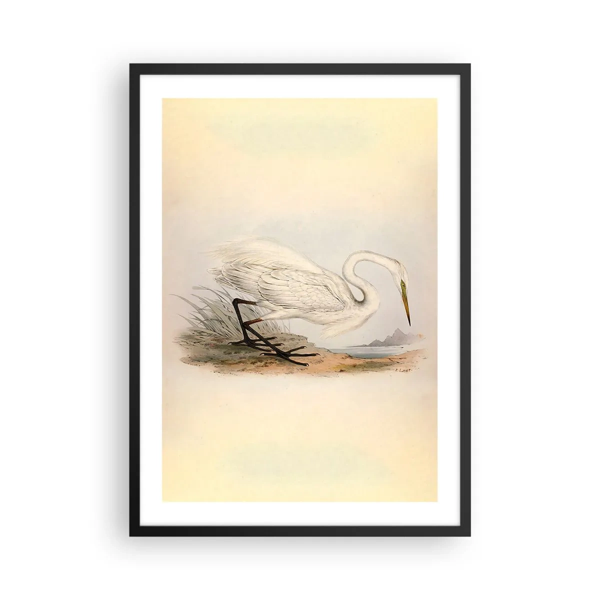 Póster en marco negro - Ilustración de una garza sobre un fondo de paisaje pastel - 50x70cm - Dama de los juncos - Decoración de pared moderna para salón y dormitorio ARTTOR