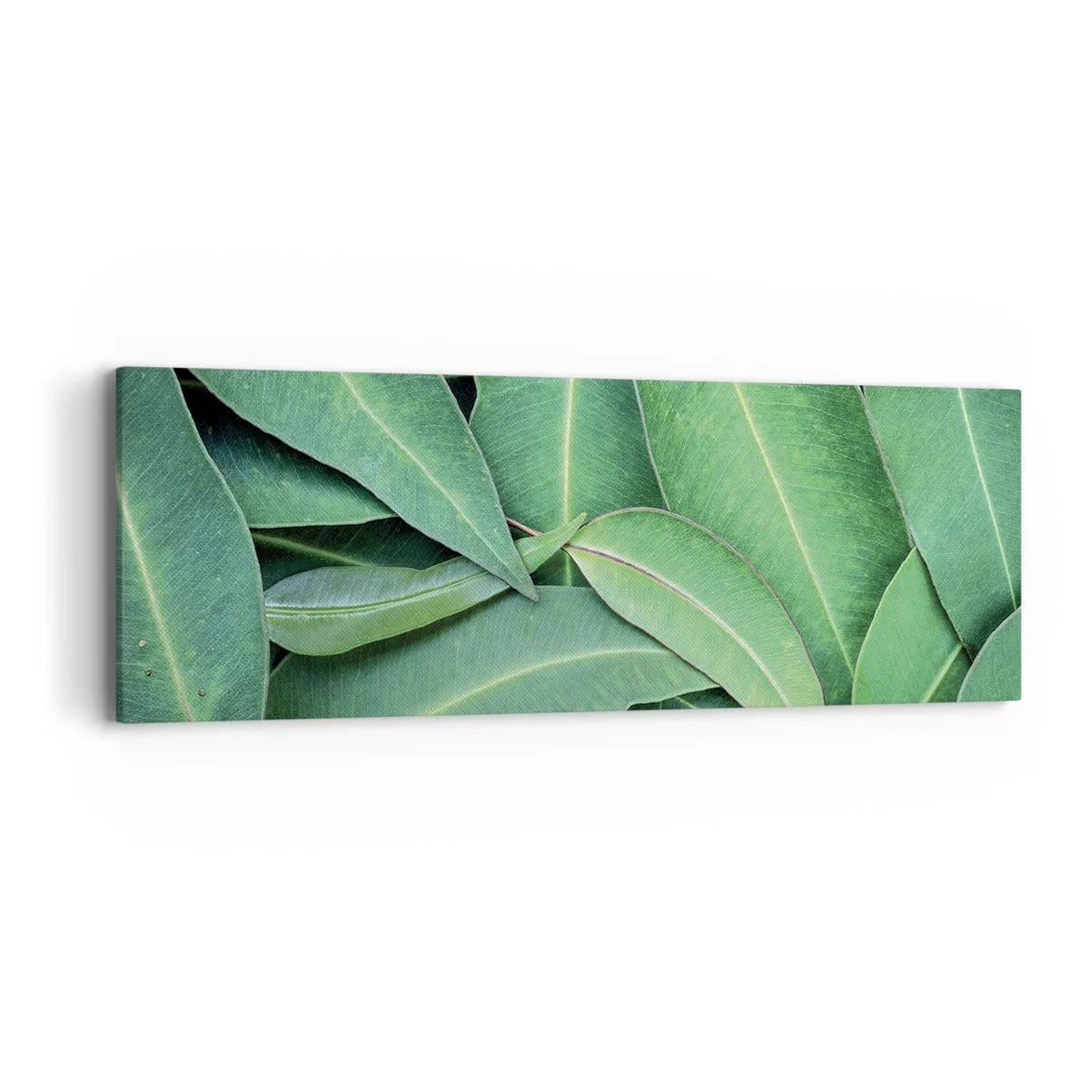 Cuadro sobre lienzo - Impresión de Imagen - Jugosidad y frescura - 90x30 cm