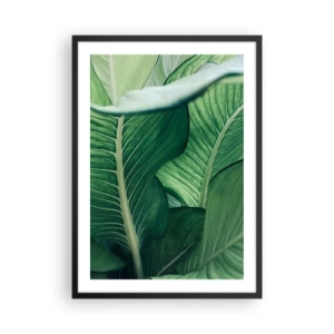 Póster en marco negro - Primer plano de las hojas verdes de una planta. - 50x70cm - Vida intensamente verde - Decoración de pared moderna para salón y dormitorio ARTTOR