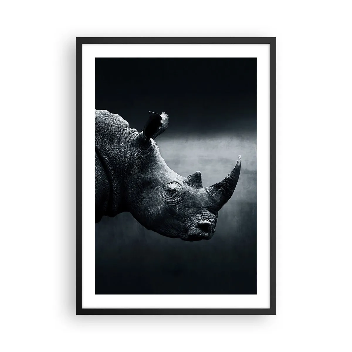 Póster en marco negro - Retrato en blanco y negro de un rinoceronte sobre un fondo oscuro. - 50x70cm - Perfil derecho - Decoración de pared moderna para salón y dormitorio ARTTOR