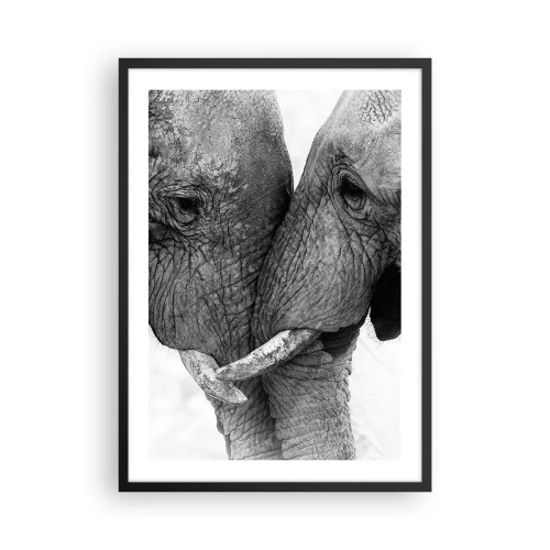Póster en marco negro - Primer plano de dos elefantes en blanco y negro. - 50x70cm - Una confesión sincera - Decoración de pared moderna para salón y dormitorio ARTTOR