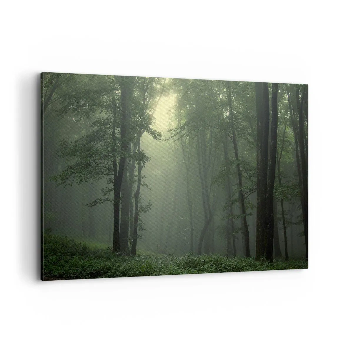 Cuadro sobre lienzo - Impresión de Imagen - Un bosque verde por la mañana envuelto en una delicada niebla. - 120x80cm - Antes de que se despierte el bosque - Decoración de pared moderna para salón y dormitorio ARTTOR
