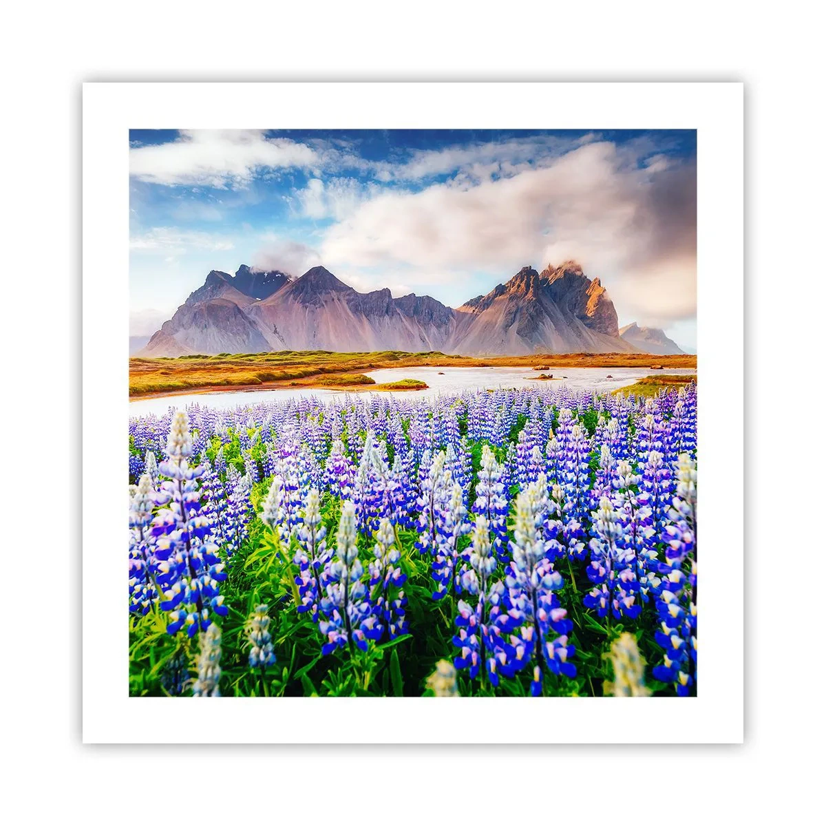 Póster - La fuerza y la severidad junto a la dulzura - 50x50 cm