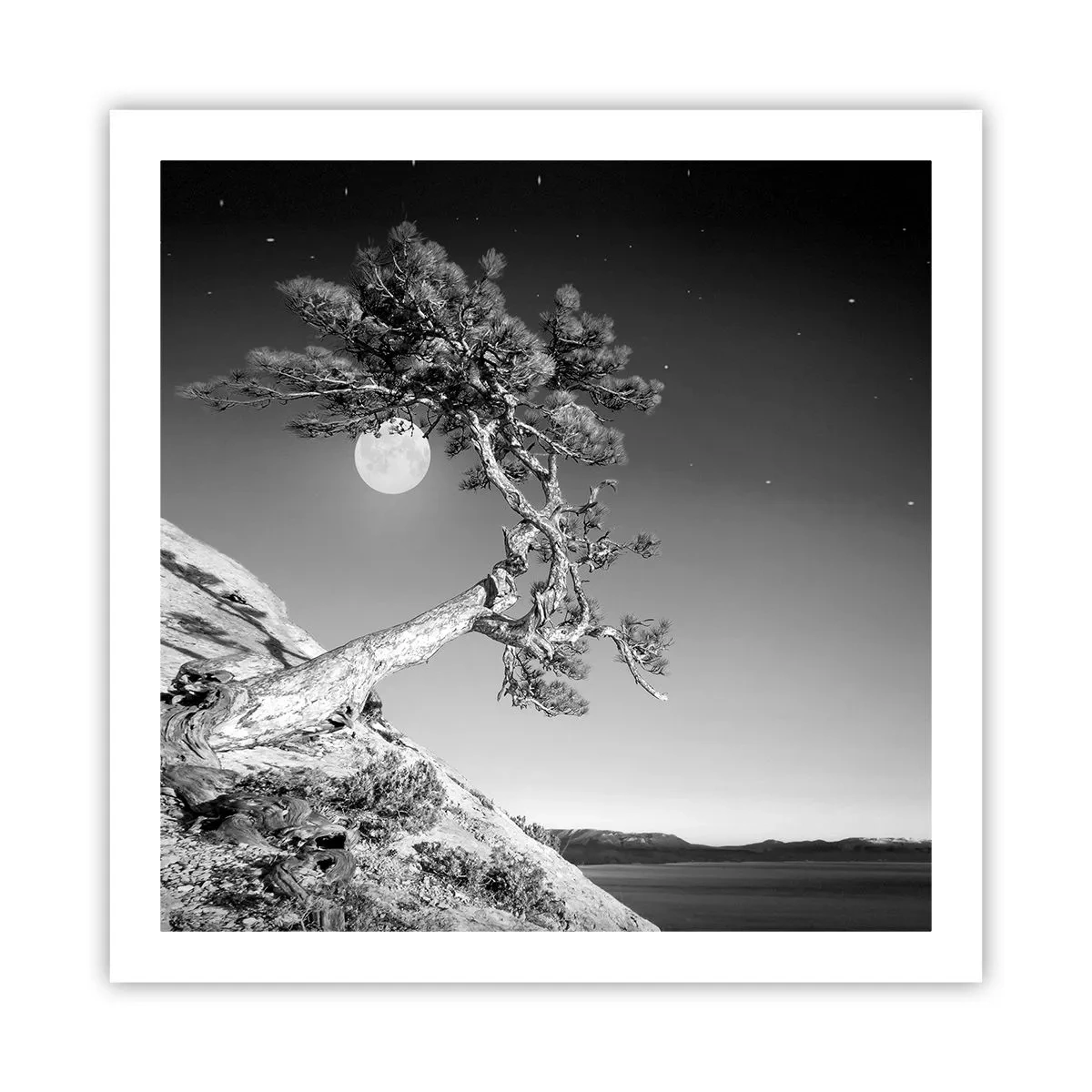 Póster - Un guerrero victorioso - 60x60 cm