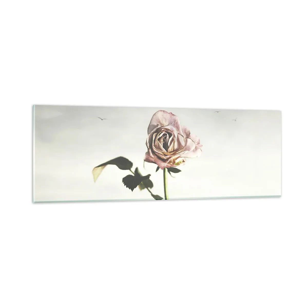 Cuadro sobre vidrio - Impresiones sobre Vidrio - Bienvenida a la primavera - 90x30 cm