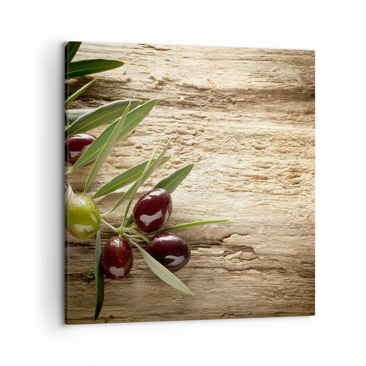 Cuadro sobre lienzo - Impresión de Imagen - Directamente de la naturaleza - 50x50 cm