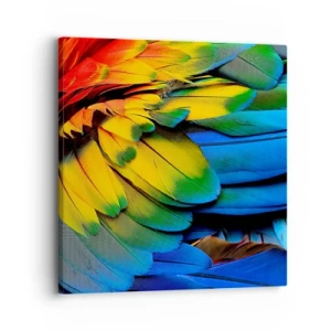 Cuadro sobre lienzo - Impresión de Imagen - Ave del paraíso - 30x30 cm
