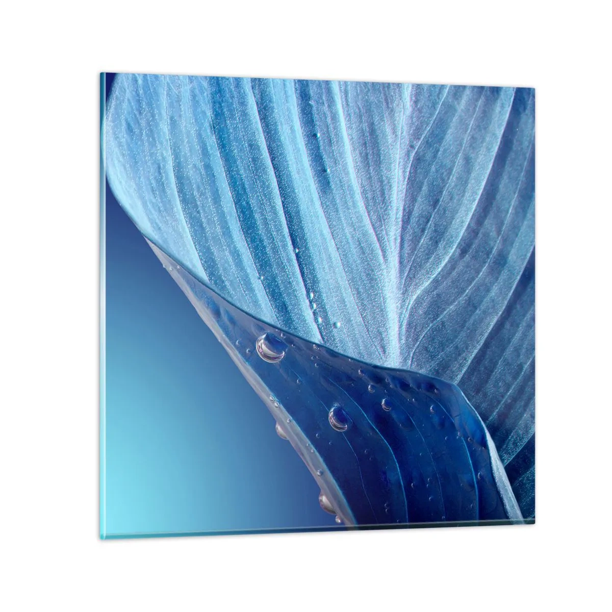Cuadro sobre vidrio - Impresiones sobre Vidrio - Gotas ocultas de azul - 50x50 cm