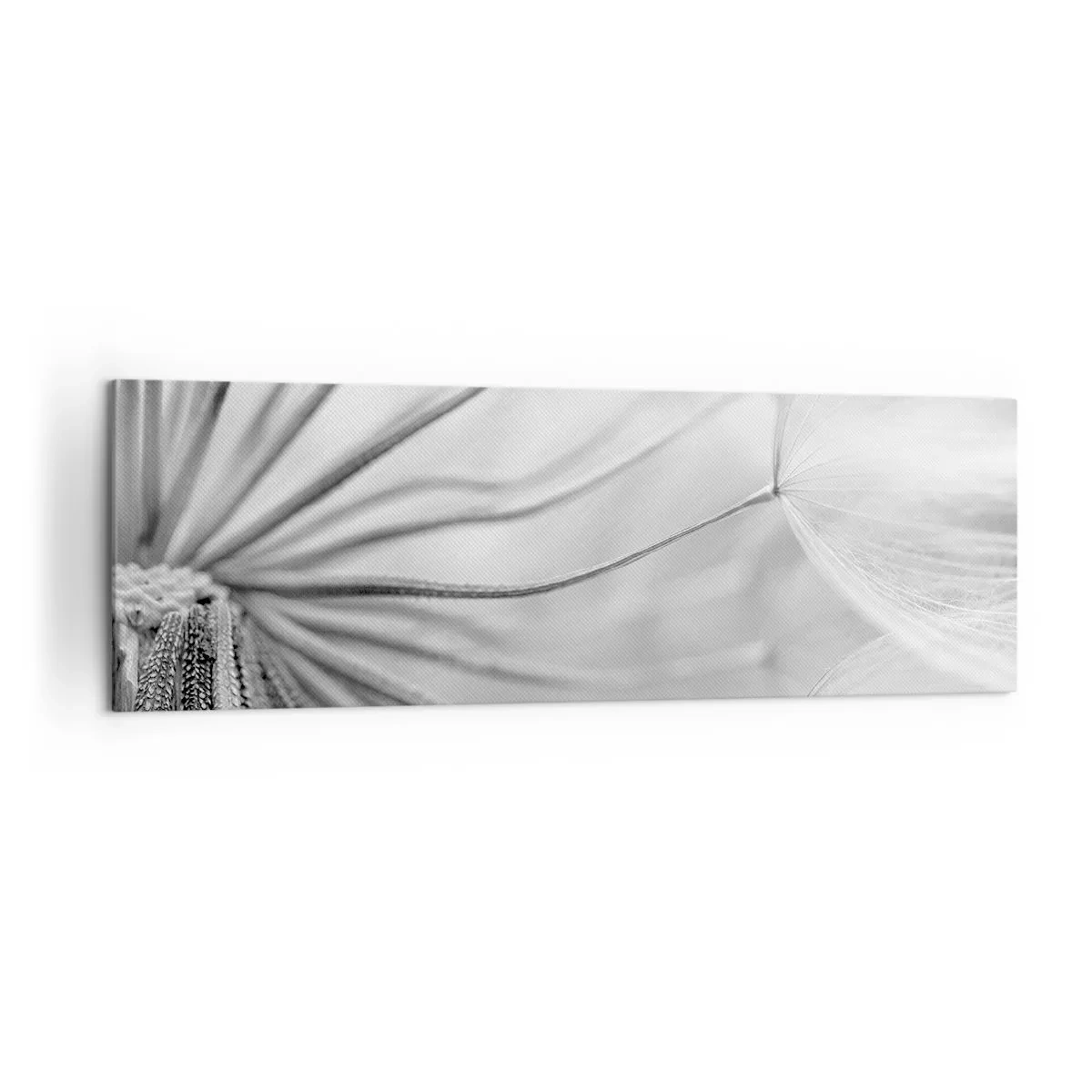Cuadro sobre lienzo - Impresión de Imagen - Delicados dientes de león en tonos blanco y negro. - 160x50cm - Caricias del viento - Decoración de pared moderna para salón y dormitorio ARTTOR