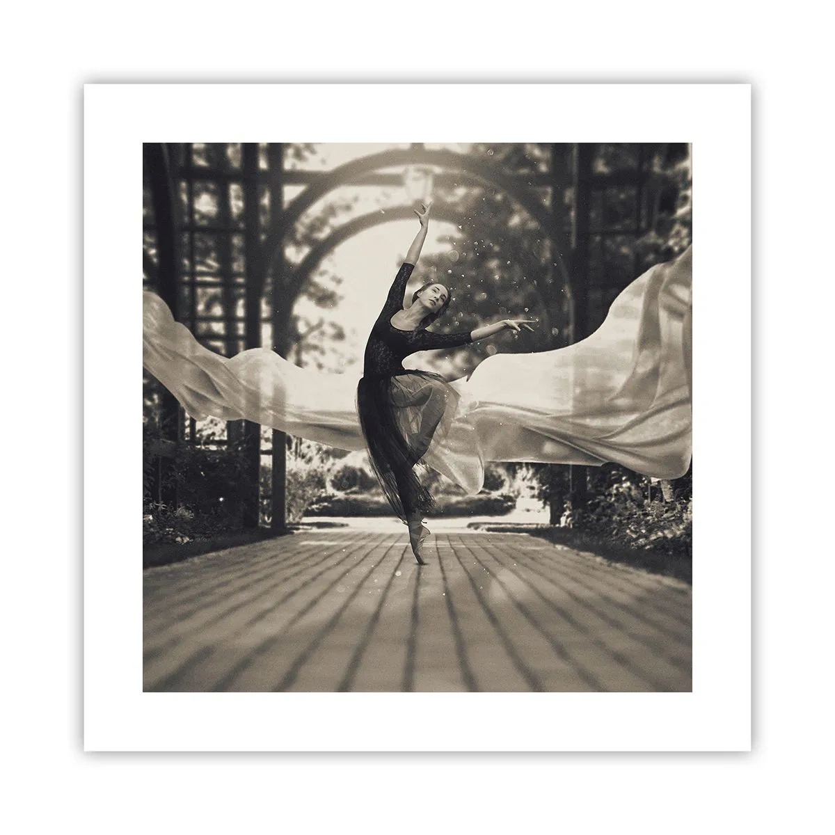 Póster - Danza del espíritu del jardín - 40x40 cm