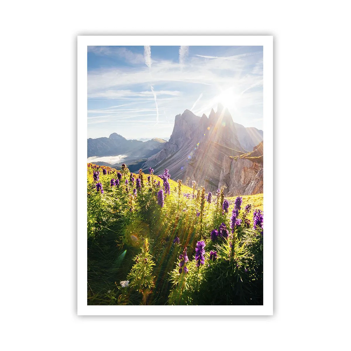 Póster - La vida secreta de las hierbas - 70x100 cm