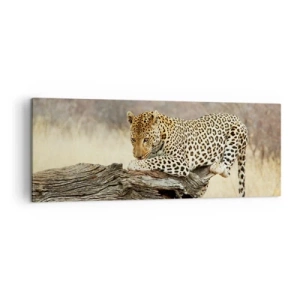 Cuadro sobre lienzo - Impresión de Imagen - Un leopardo descansando en el tronco de un árbol en la sabana. - 140x50cm - Voy por mi cuenta - Decoración de pared moderna para salón y dormitorio ARTTOR
