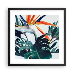 Póster en marco negro - La jaula del pájaro colorido - 40x40 cm