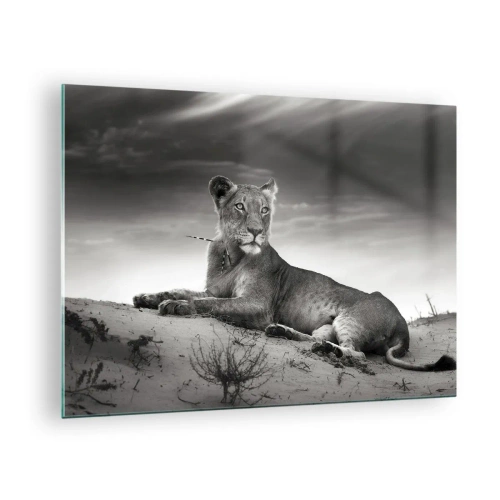 Cuadro sobre vidrio - Impresiones sobre Vidrio - Dejado tirado en el desierto en un marco en blanco y negro. - 70x50cm - Descanso de la reina del desierto - Decoración de pared moderna para salón y dormitorio ARTTOR